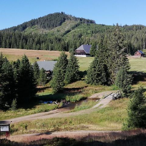 Horská Kvilda - domky u Hamerského potoka, foto Wikimedia Commons - Mojmír Churavý (CC BY-SA 4.0)